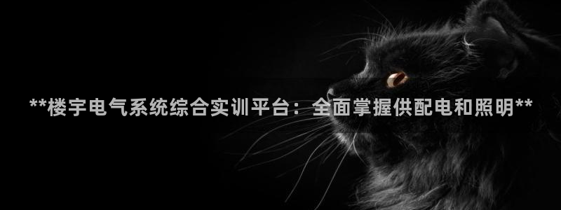 **楼宇电气系统综合实训平台：全面掌握供配电和照明**