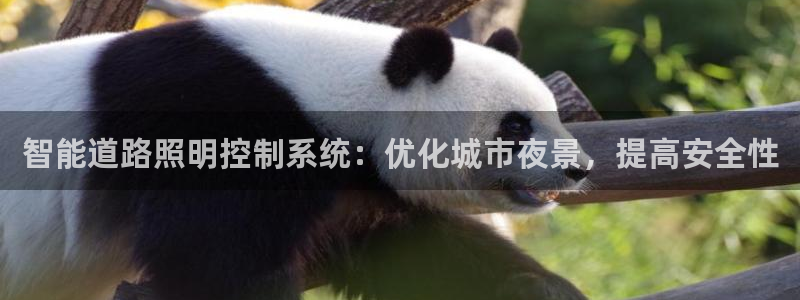 智能道路照明控制系统：优化城市夜景，提高安全性