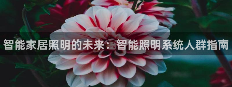 智能家居照明的未来：智能照明系统人群指南