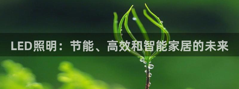 LED照明：节能、高效和智能家居的未来