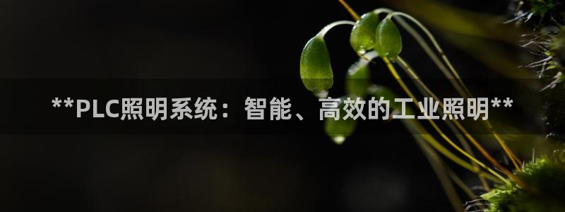 **PLC照明系统：智能、高效的工业照明**