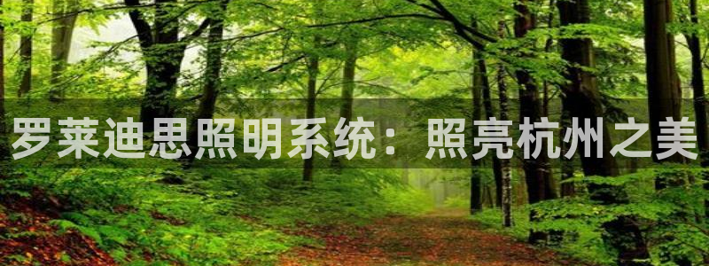 罗莱迪思照明系统：照亮杭州之美