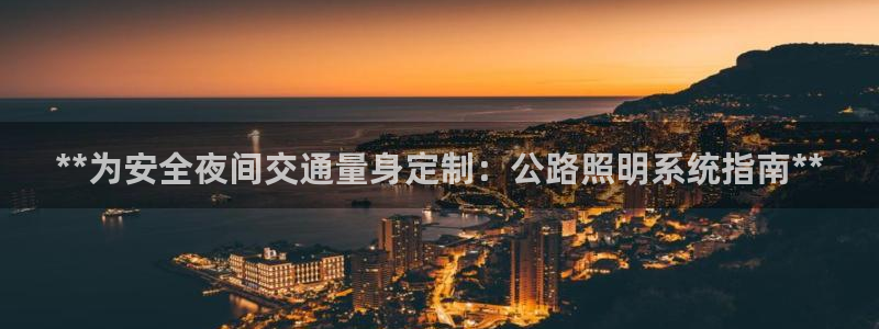 **为安全夜间交通量身定制：公路照明系统指南**