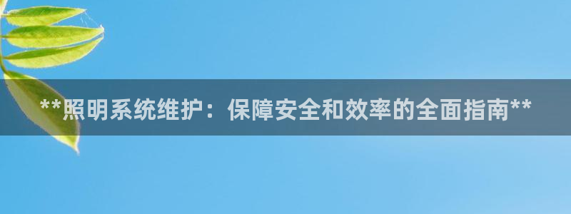 **照明系统维护：保障安全和效率的全面指南**