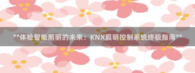 **体验智能照明的未来：KNX照明控制系统终极指南**