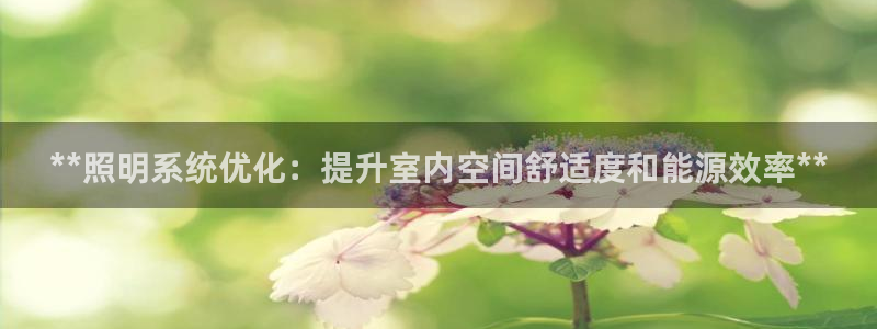 **照明系统优化：提升室内空间舒适度和能源效率**
