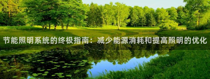 节能照明系统的终极指南：减少能源消耗和提高照明的优化