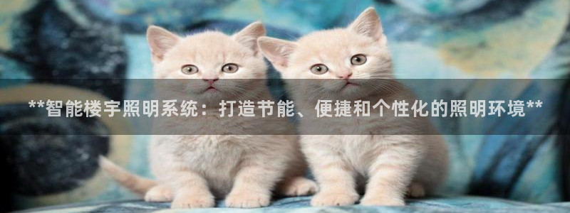**智能楼宇照明系统：打造节能、便捷和个性化的照明环境**