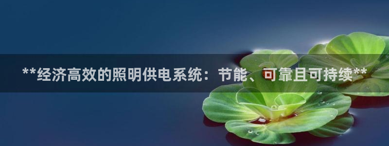 **经济高效的照明供电系统：节能、可靠且可持续**