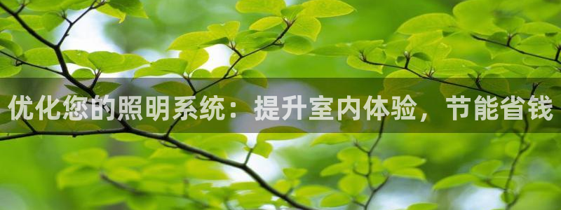 优化您的照明系统：提升室内体验，节能省钱