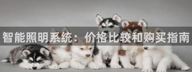 智能照明系统：价格比较和购买指南