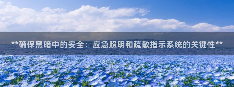 **确保黑暗中的安全:应急照明和疏散指示系统的关键性**