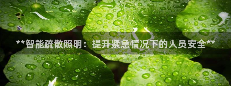**智能疏散照明：提升紧急情况下的人员安全**