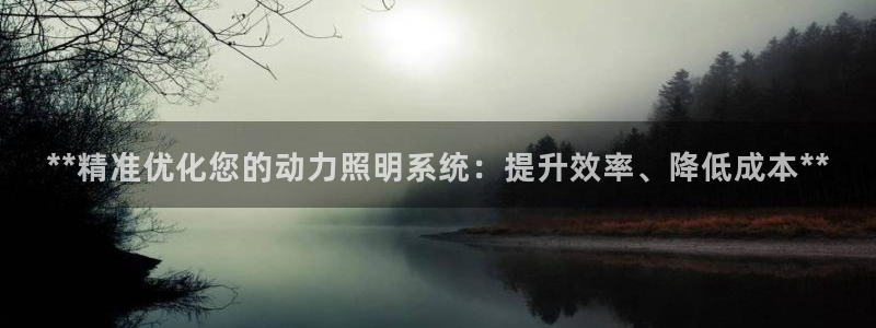 **精准优化您的动力照明系统：提升效率、降低成本**