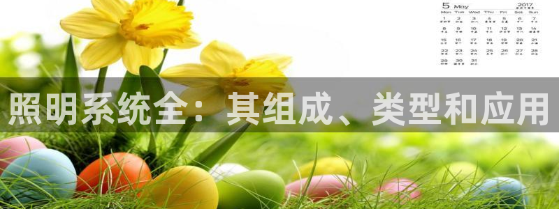 照明系统全：其组成、类型和应用