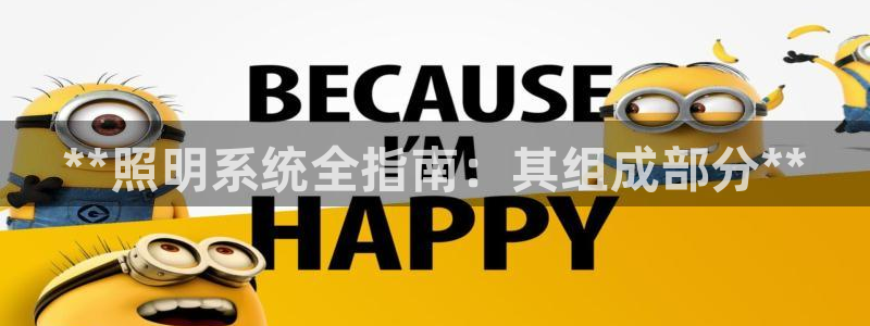 **照明系统全指南：其组成部分**