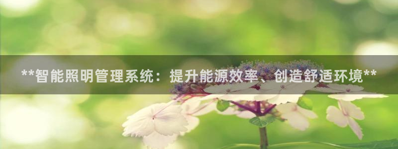 **智能照明管理系统：提升能源效率、创造舒适环境**