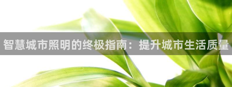 智慧城市照明的终极指南：提升城市生活质量