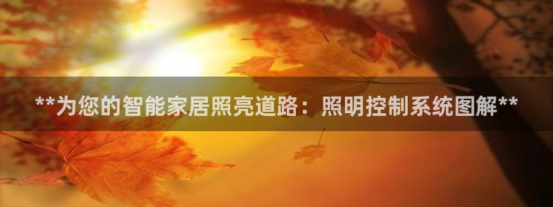 **为您的智能家居照亮道路：照明控制系统图解**