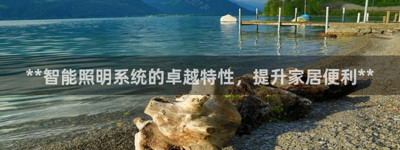 **智能照明系统的卓越特性，提升家居便利**