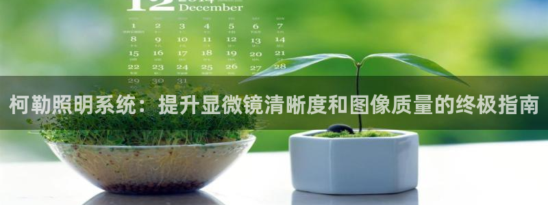柯勒照明系统：提升显微镜清晰度和图像质量的终极指南