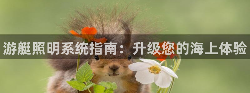 游艇照明系统指南：升级您的海上体验