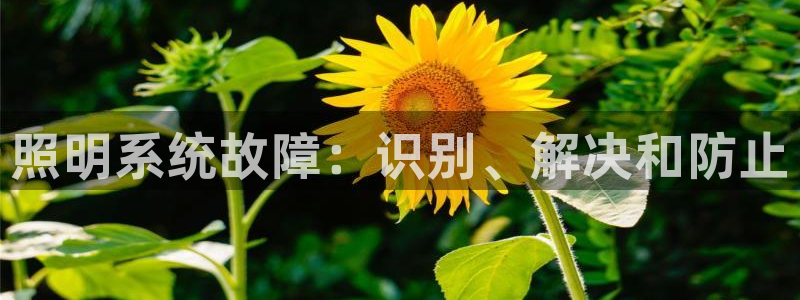 照明系统故障：识别、解决和防止