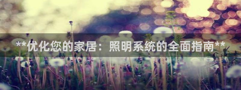 **优化您的家居：照明系统的全面指南**
