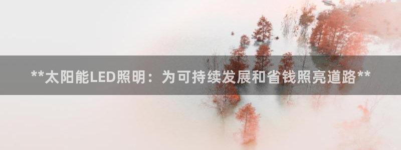 **太阳能LED照明：为可持续发展和省钱照亮道路**