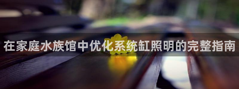 在家庭水族馆中优化系统缸照明的完整指南
