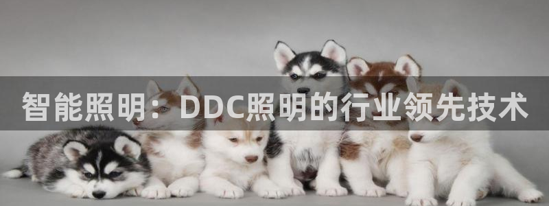 智能照明：DDC照明的行业领先技术