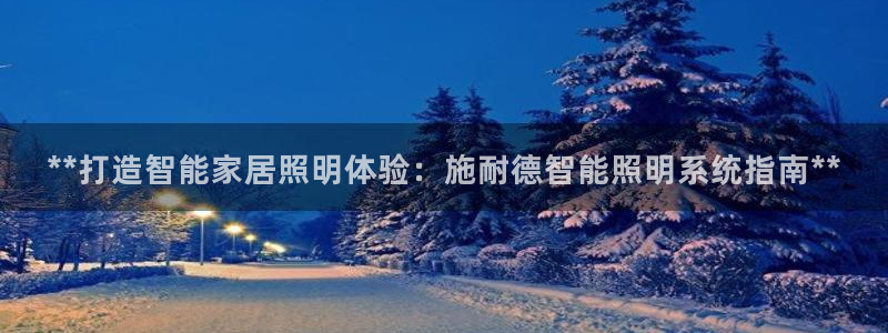 **打造智能家居照明体验：施耐德智能照明系统指南**