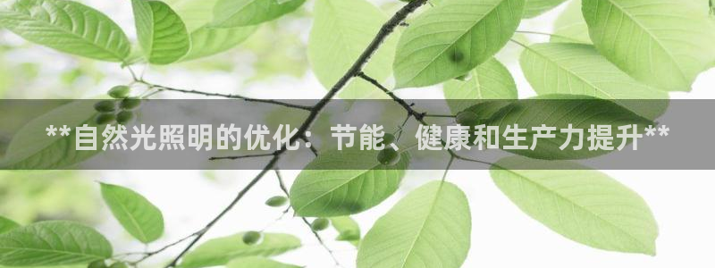 **自然光照明的优化：节能、健康和生产力提升**