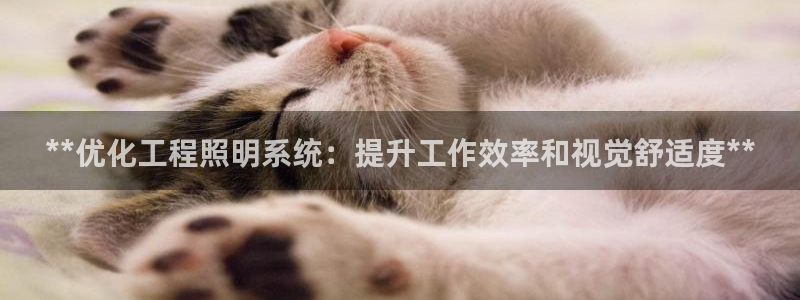 **优化工程照明系统：提升工作效率和视觉舒适度**