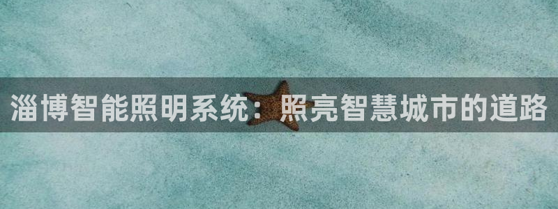 淄博智能照明系统：照亮智慧城市的道路