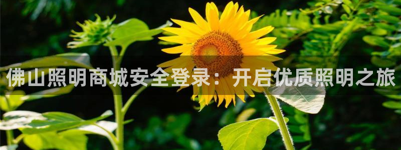 佛山照明商城安全登录：开启优质照明之旅