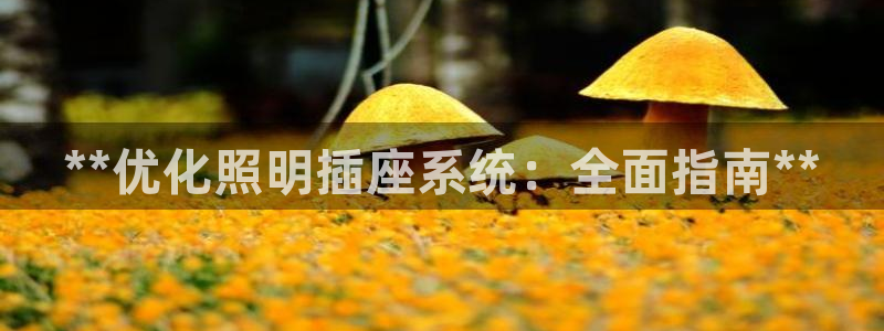 **优化照明插座系统：全面指南**