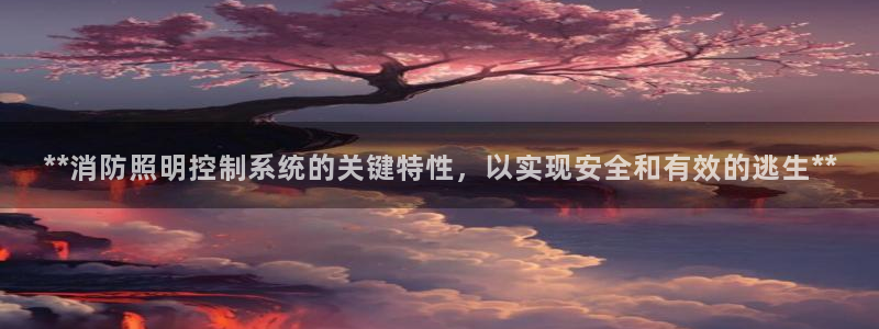 **消防照明控制系统的关键特性，以实现安全和有效的逃生**