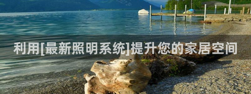 利用[最新照明系统]提升您的家居空间