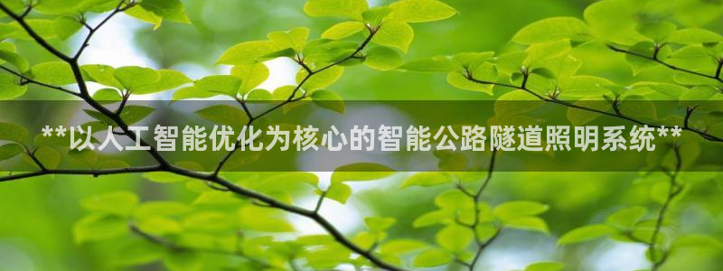 **以人工智能优化为核心的智能公路隧道照明系统**