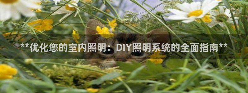**优化您的室内照明：DIY照明系统的全面指南**