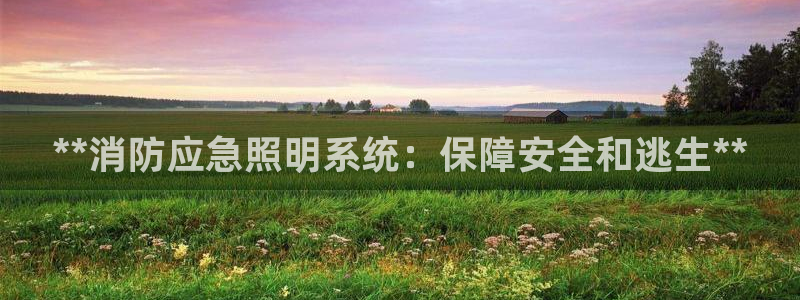 **消防应急照明系统：保障安全和逃生**