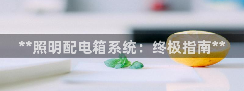 **照明配电箱系统：终极指南**