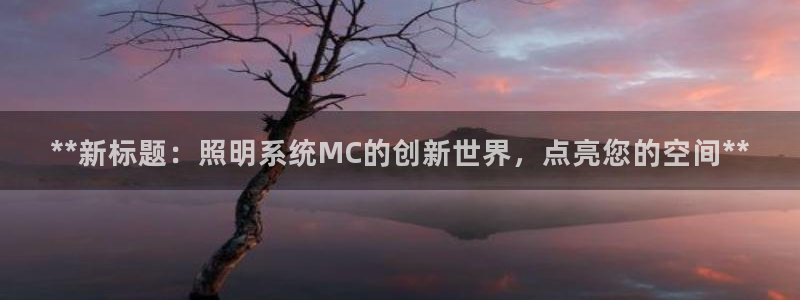 **新标题：照明系统MC的创新世界，点亮您的空间**
