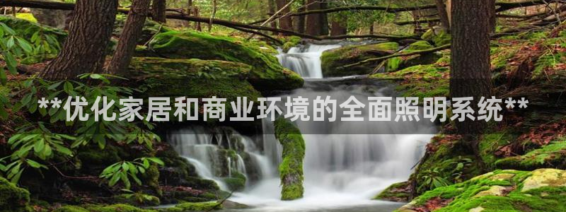**优化家居和商业环境的全面照明系统**