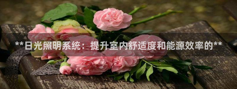 **日光照明系统：提升室内舒适度和能源效率的**