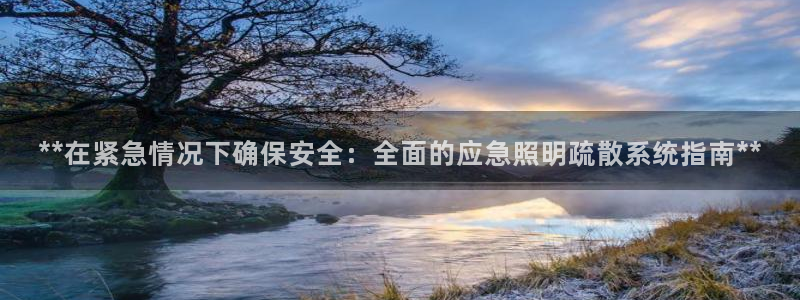 **在紧急情况下确保安全：全面的应急照明疏散系统指南**