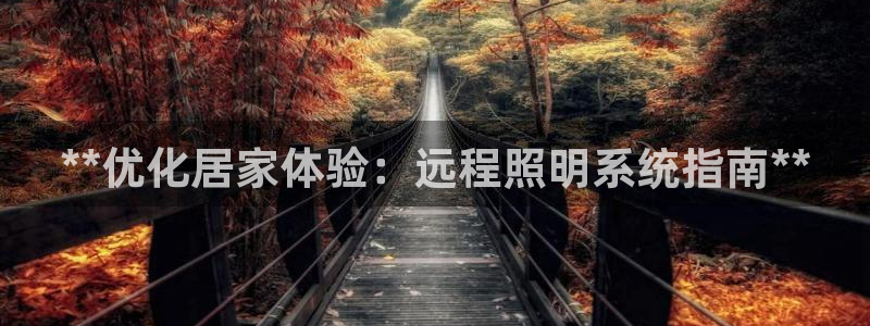 **优化居家体验：远程照明系统指南**