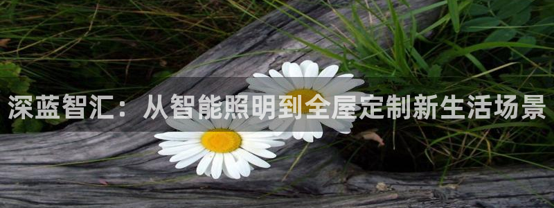 深蓝智汇：从智能照明到全屋定制新生活场景