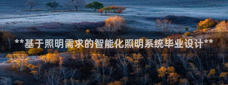 **基于照明需求的智能化照明系统毕业设计**
